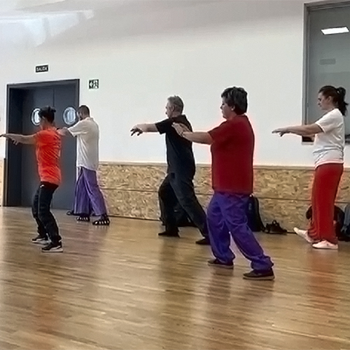 Taichi5